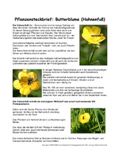Pflanzensteckbrief-Butterblume.pdf